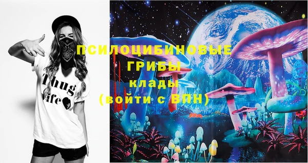 хмурый Мегион