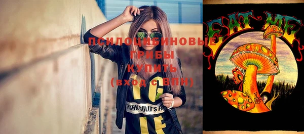 хмурый Мегион