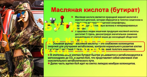 прущие грибы Медногорск